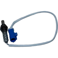 AK079.00001