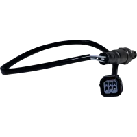 AK101.00008